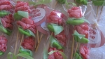 Rosas-Juani-2.jpg