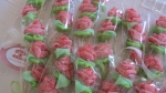 Rosas-Juani-3.jpg