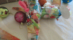 Conos-Ainoa-5.gif